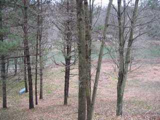 651 Lawsonham Road Templeton, PA 16259 - Photo 4 of 8 Other.