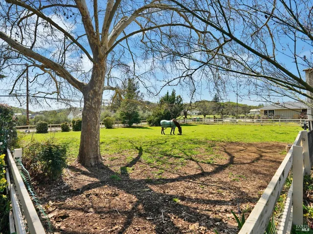 a view of a yard with plants