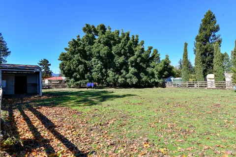 a view of park with large trees