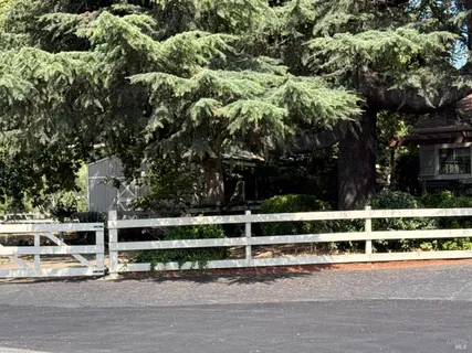 a view of a yard with an tree