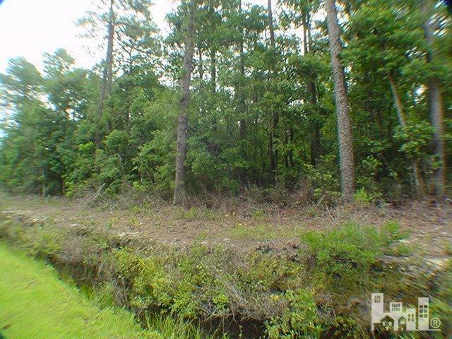 14 Brick Yard Road Hampstead, NC 28443 - Photo 5 of 10 Additional Photo