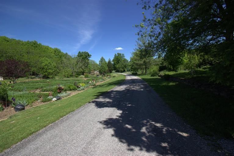 546 Falmouth Sunrise Road Berry, KY 41003 - Photo 15 of 23 Gallery Image 15