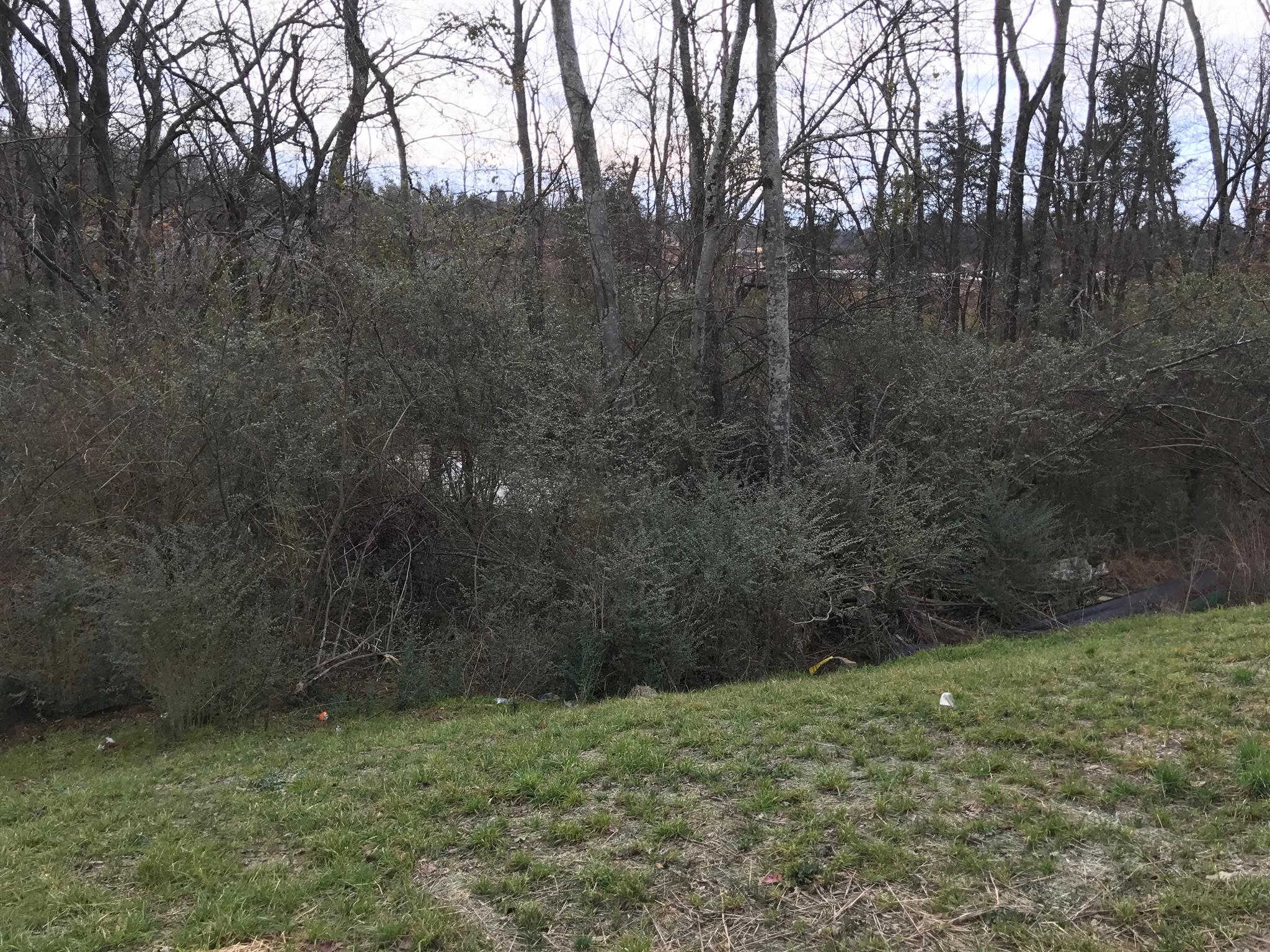 1016 Rudder Drive Spring Hill, TN 37174 - Photo 3 of 22 Gallery Image 3