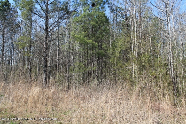 269 Bennett Road Jasper, AL 35503 - Photo 22 of 23 Gallery Image 22