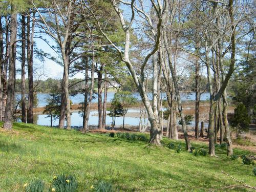 Lot1 Miles Wharf Road, Unit 1 Exmore, VA 23350 - Photo 4 of 33
