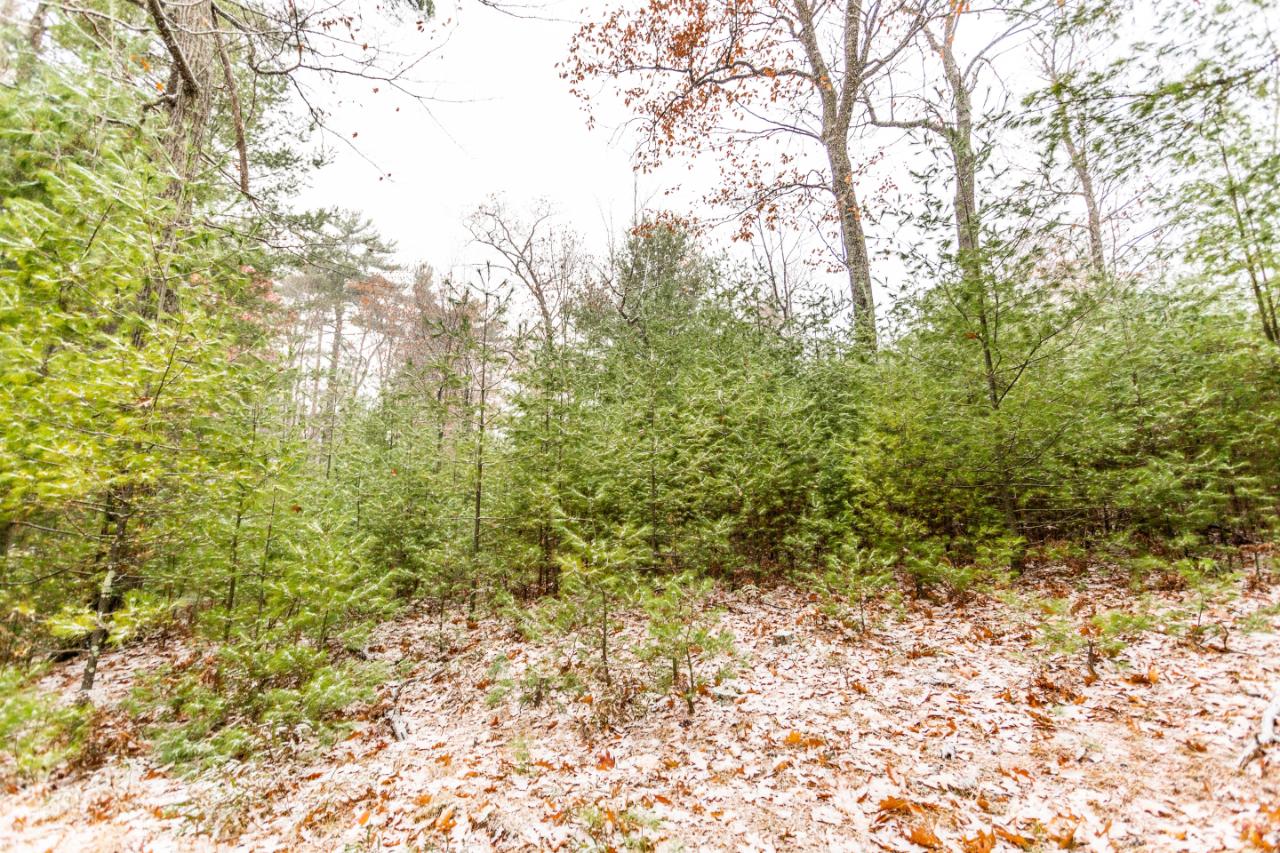 On Lambert Road Minocqua, WI 54548 - Photo 10 of 17 Gallery Image 10