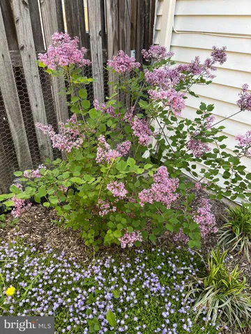 $550,000 | 10616 Pennydog Lane, Silver Spring, MD 20902