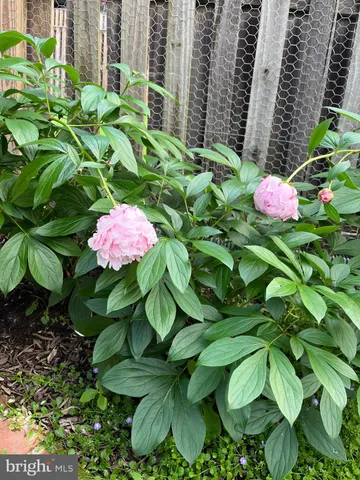 $550,000 | 10616 Pennydog Lane, Silver Spring, MD 20902