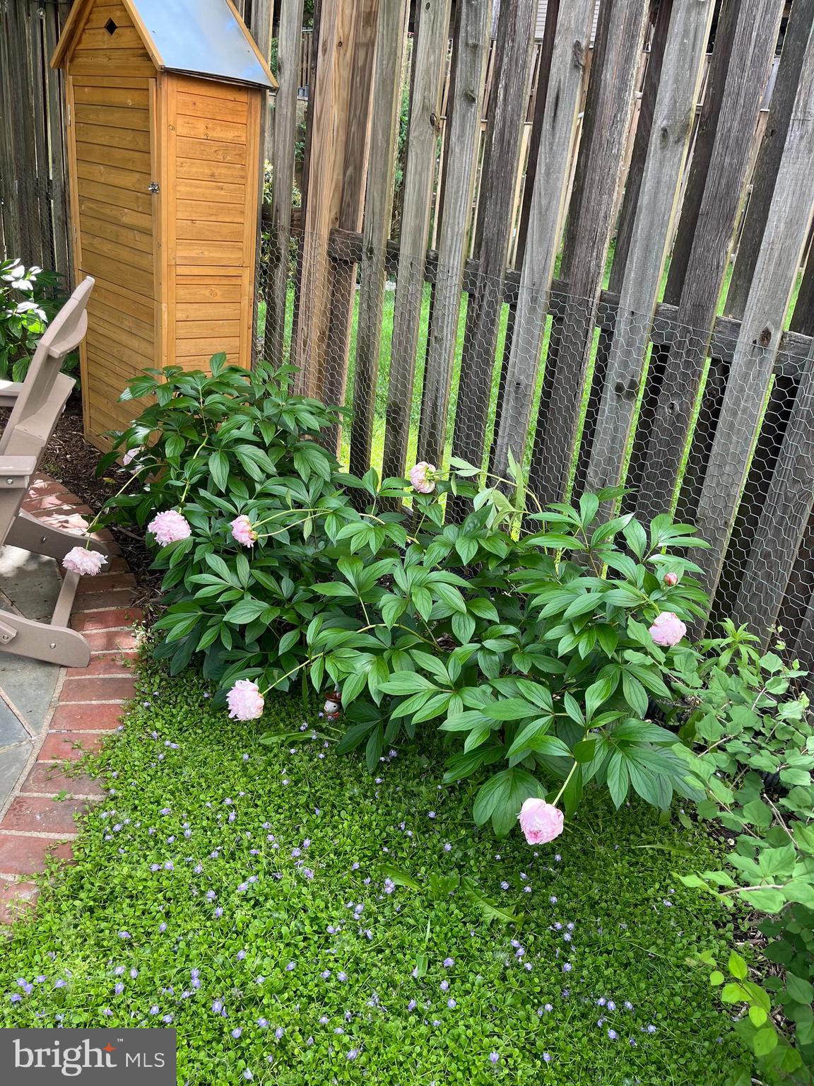 10616 Pennydog Lane Silver Spring, MD 20902 - Photo 52 of 58