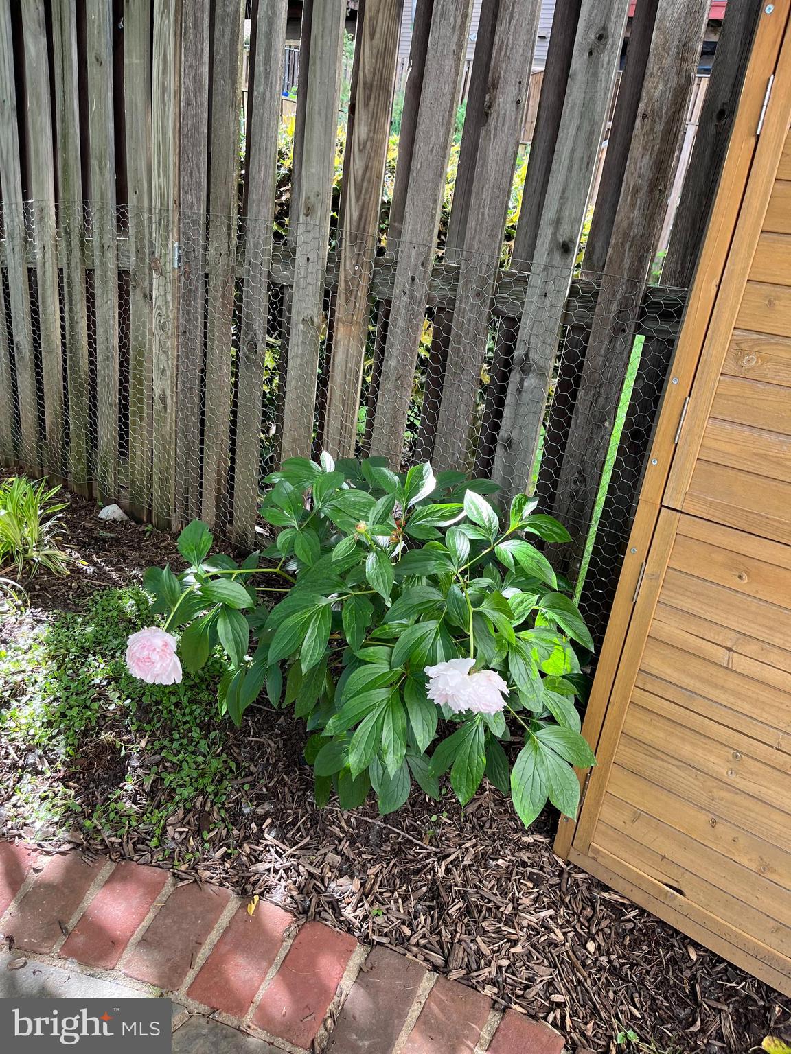 10616 Pennydog Lane Silver Spring, MD 20902 - Photo 53 of 58 a view of a backyard with plants