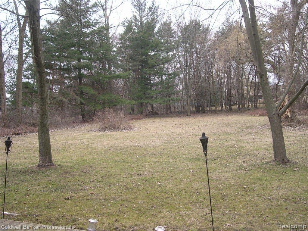 2760 Hickory Lawn Road Rochester, MI 48307 - Photo 13 of 15 Deep Wooded Lot.JPG