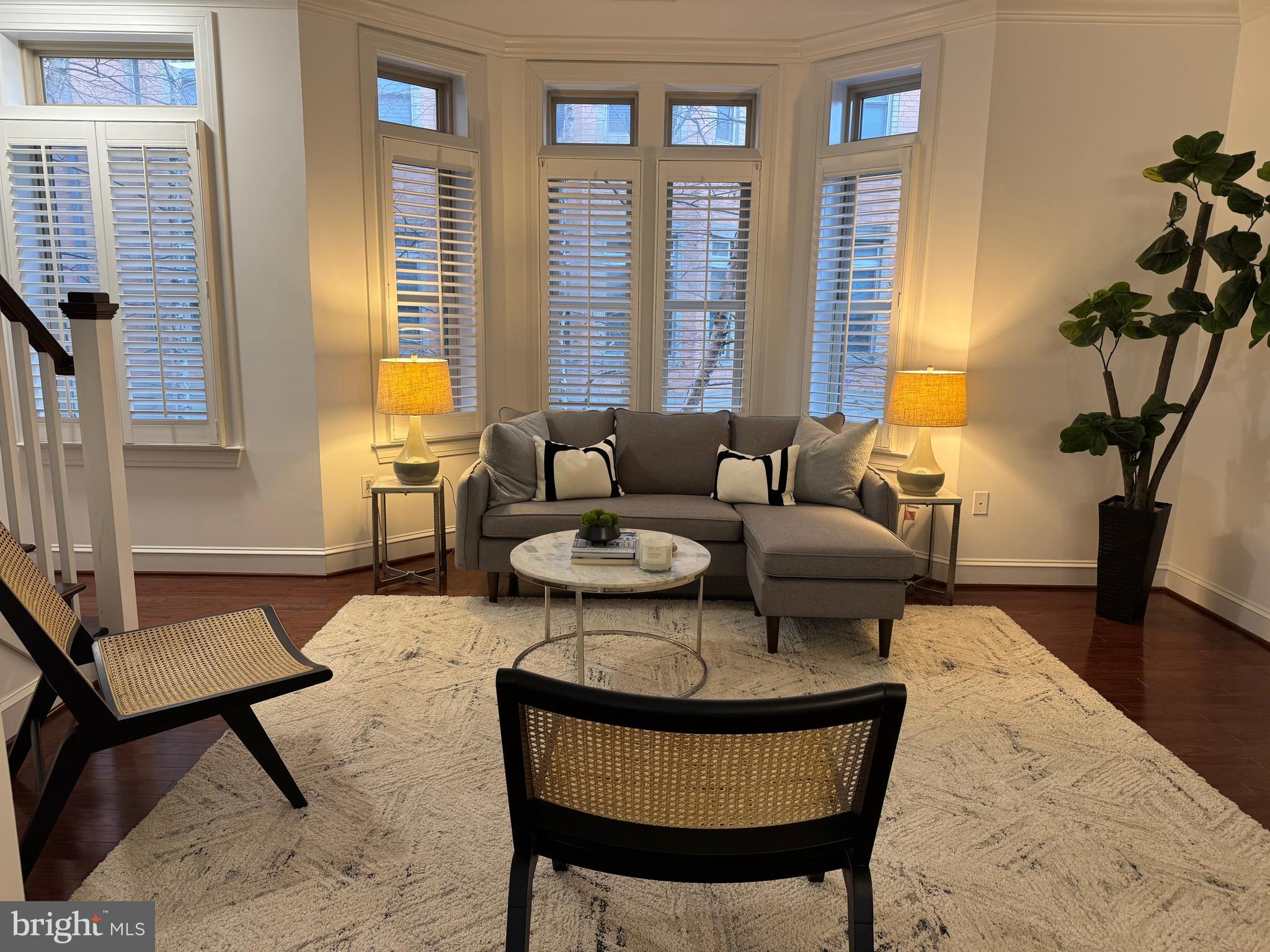 2227 12th Court North Arlington, VA 22201 - Photo 13 of 62 a living room with furniture and a potted plant