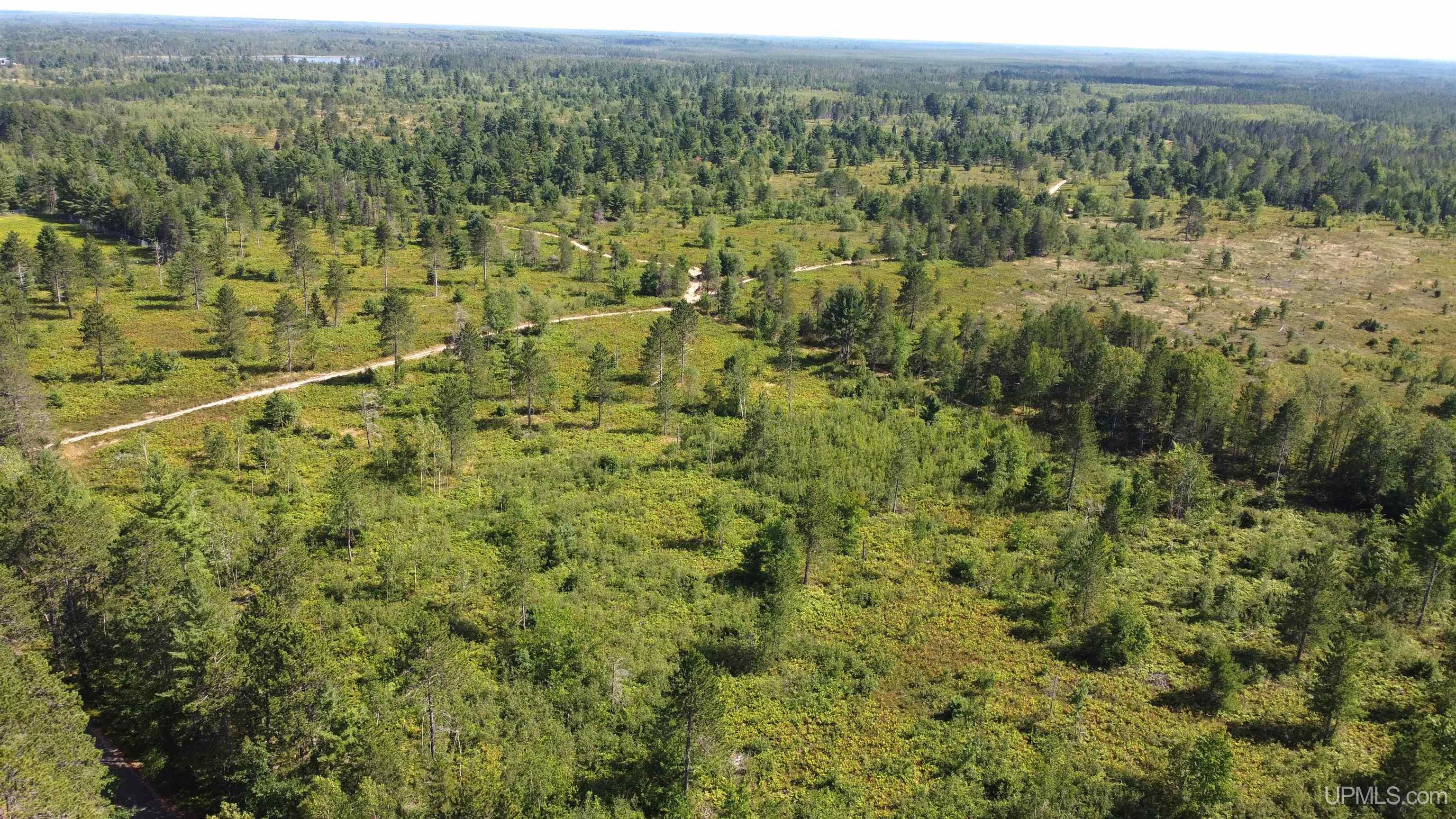 On South Bertrand Lake Road Gwinn, MI 49841 - Photo 5 of 20