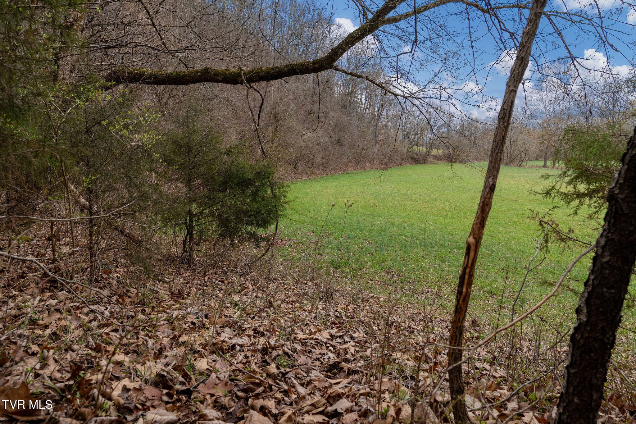 Tbd Piney Flats Road Watauga, TN 37694 - Photo 49 of 60 DSC07421