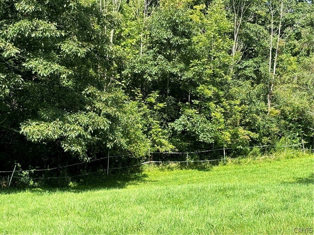 2314 Carson Road Cortland, NY 13045 - Photo 28 of 29 Gallery Image 28