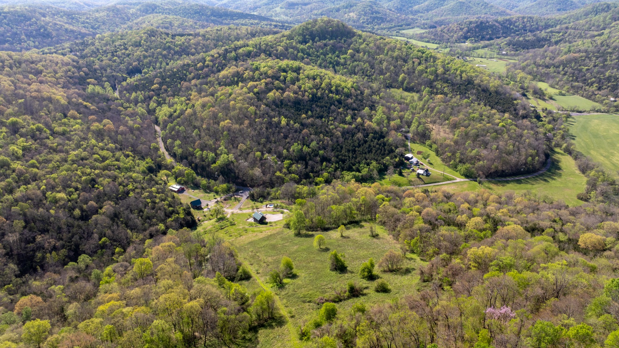 4818 Ensor Hollow Road Granville, TN 38564 - Photo 47 of 52 a view of a yard with plants and tree