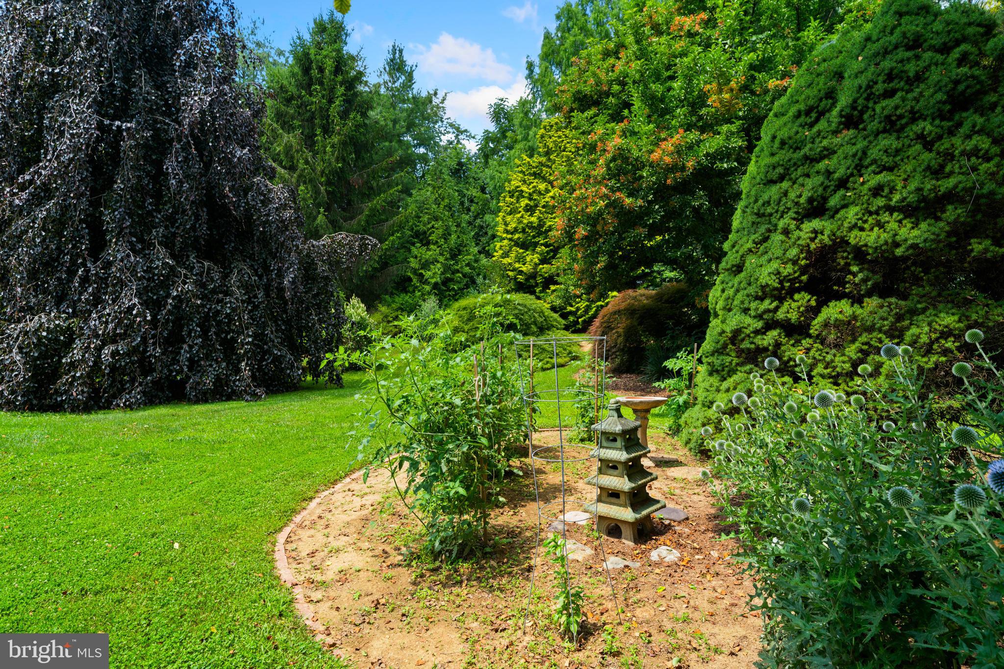 5586 Linton Road Sykesville, MD 21784 - Photo 11 of 104 Private and tranquil