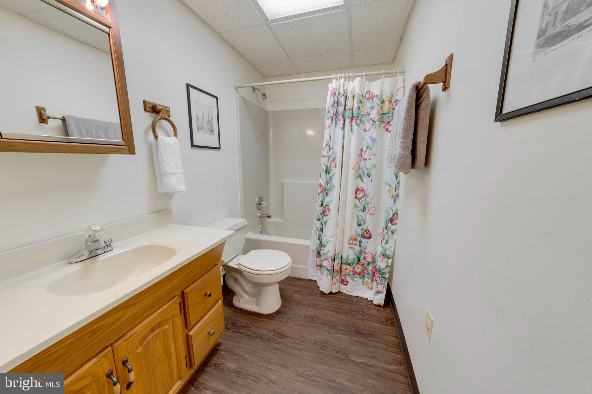 5586 Linton Road Sykesville, MD 21784 - Photo 61 of 104 Full bath in basement, great for pool guests