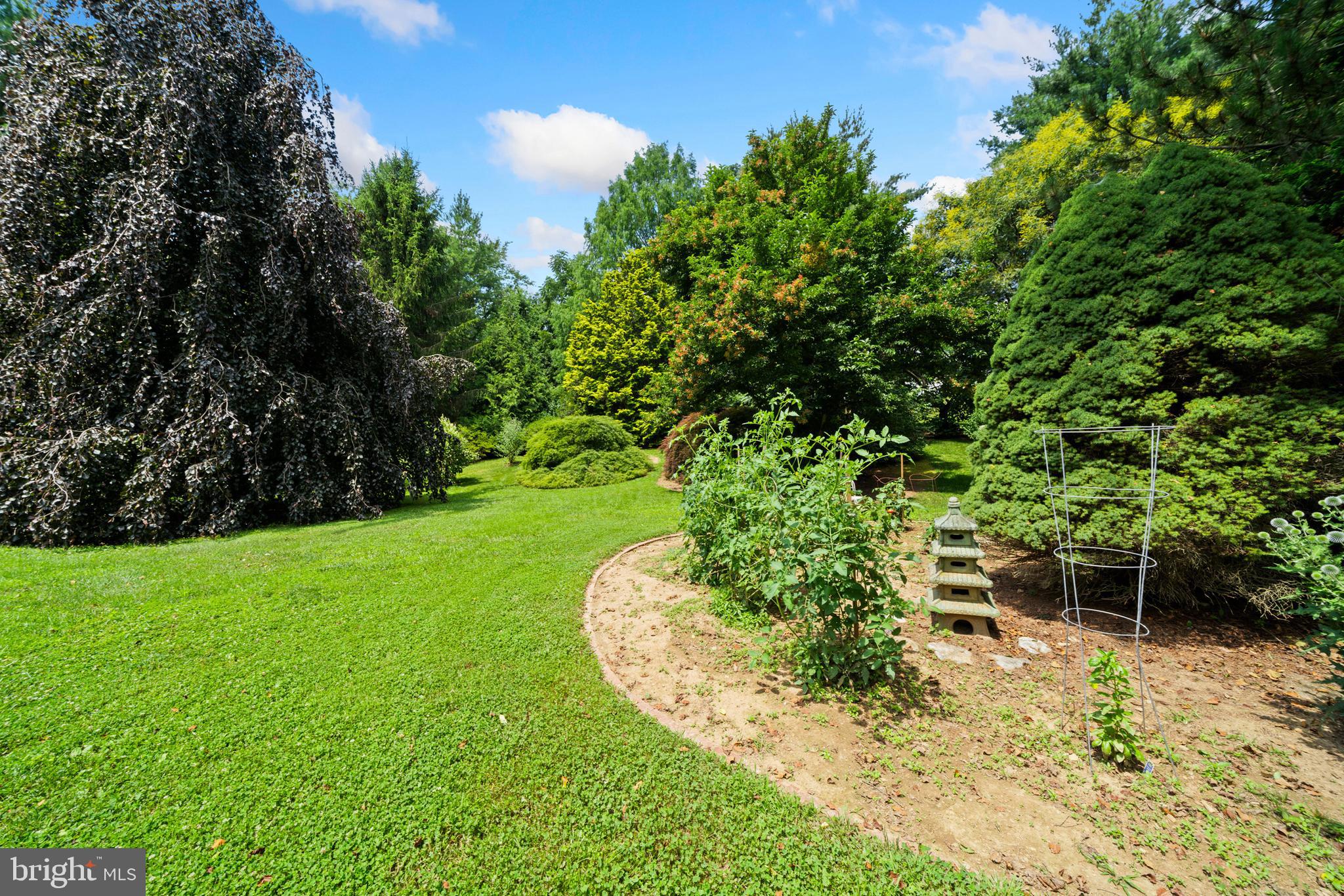 5586 Linton Road Sykesville, MD 21784 - Photo 8 of 104 Huge park-like backyard
