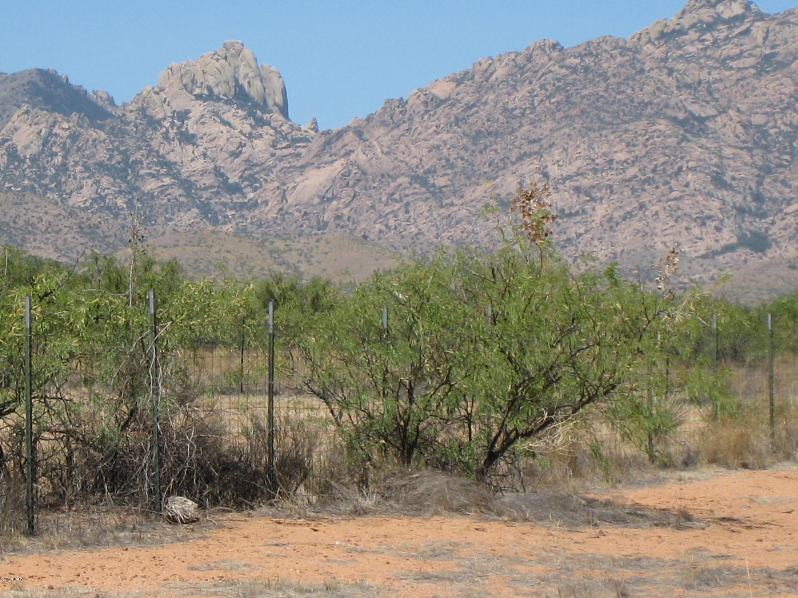 Allen Street Cochise, AZ 85606 - Photo 1 of 6 a view of a dry yard with trees