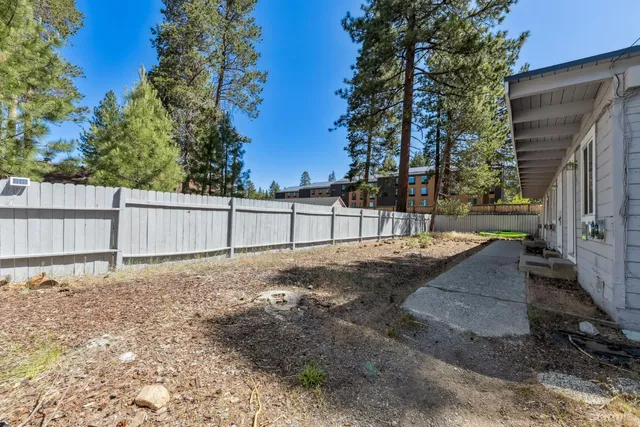 a view of backyard and tree