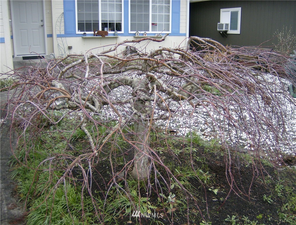 1101 South Scheuber Road, Unit 3 Centralia, WA 98531 - Photo 5 of 24 Gallery Image 5