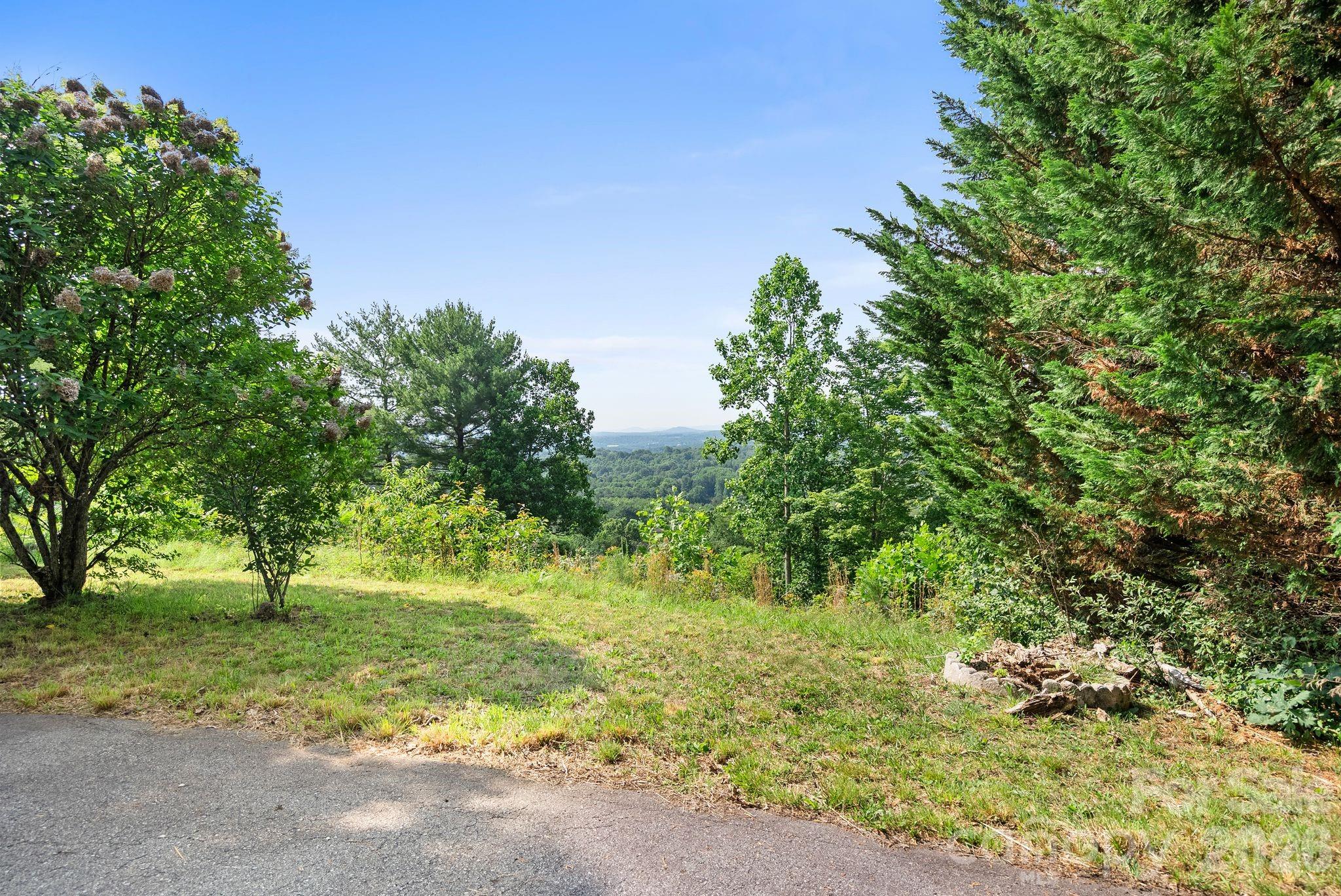133 Spivey Mountain Road Asheville, NC 28806 - Photo 32 of 40 a backyard of a house with a tree