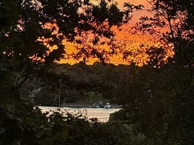 109 Riverview Road Gloucester, MA 01930 - Photo 4 of 42 a backyard of a house with a tree