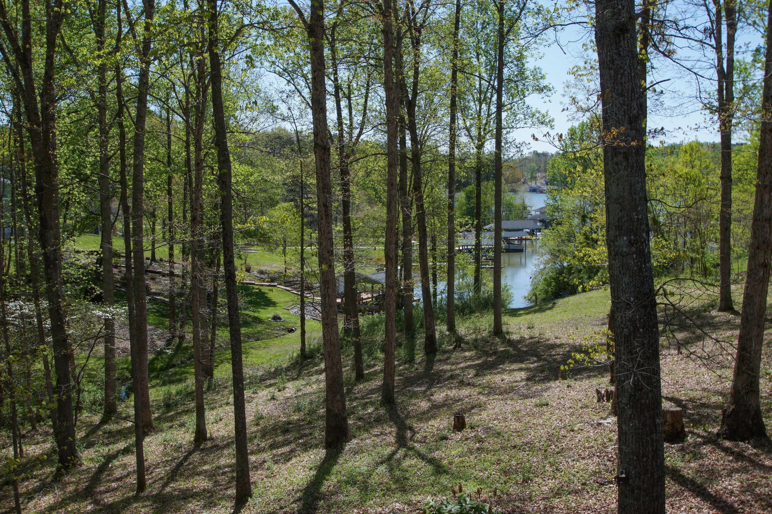 445 Periwinkle Road Moneta, VA 24121 - Photo 39 of 46 dsc03715