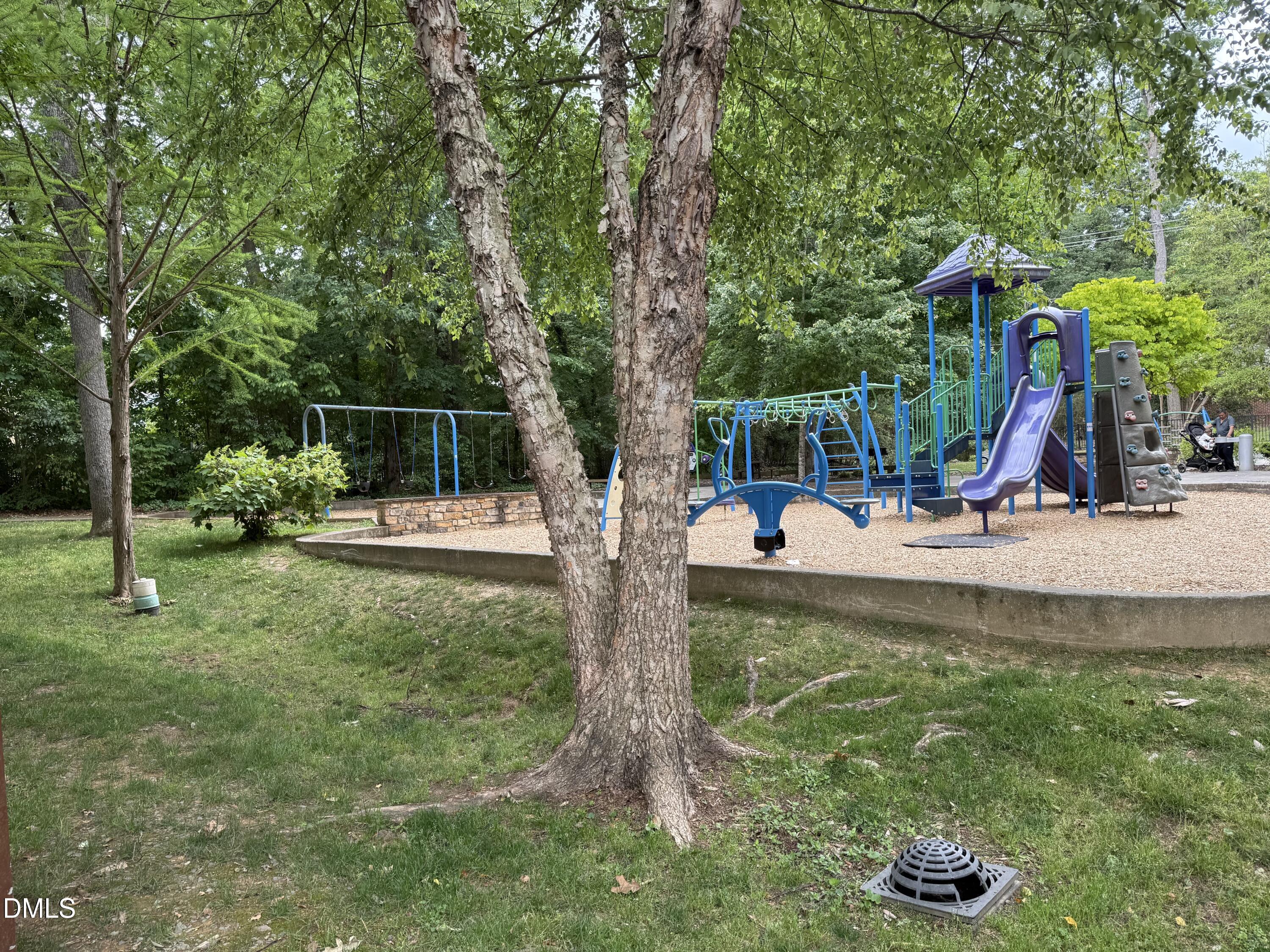 231 Flemington Road Chapel Hill, NC 27517 - Photo 46 of 48 a view of a park with swings and slides