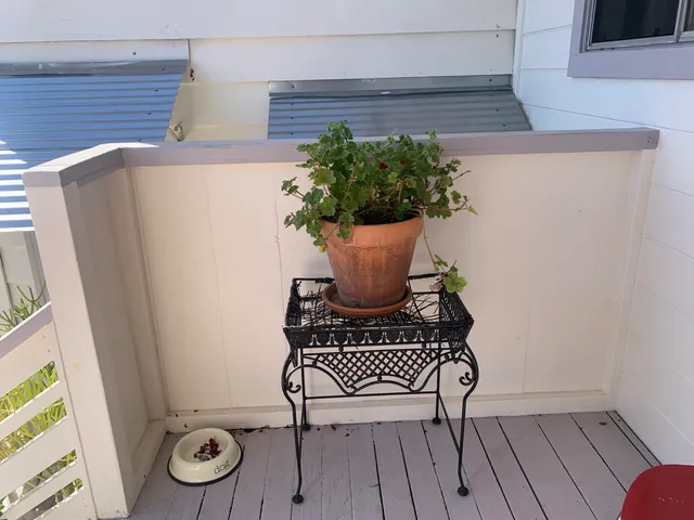 a view of a hallway with wooden floor and a potted plant