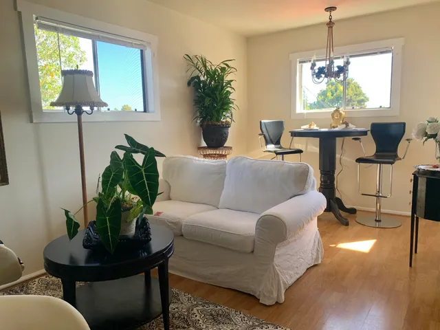 a living room with furniture and a potted plant