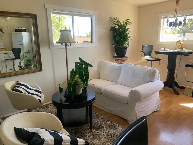 a living room with furniture potted plant and window