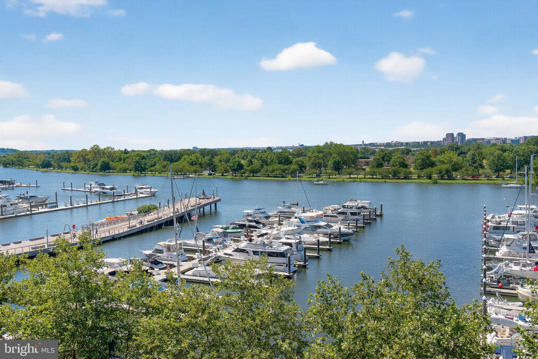 45 Sutton Square Southwest, Unit 509 Washington, DC 20024 - Photo 7 of 25 a view of a lake with houses in the back