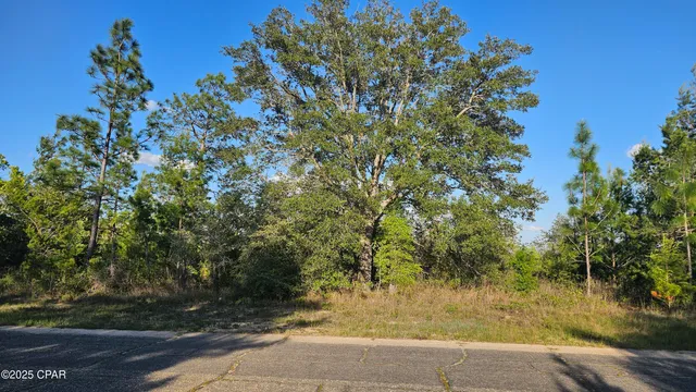 $12,900 | Lot 14 Independence Drive, Unit 2, Chipley, FL 32428