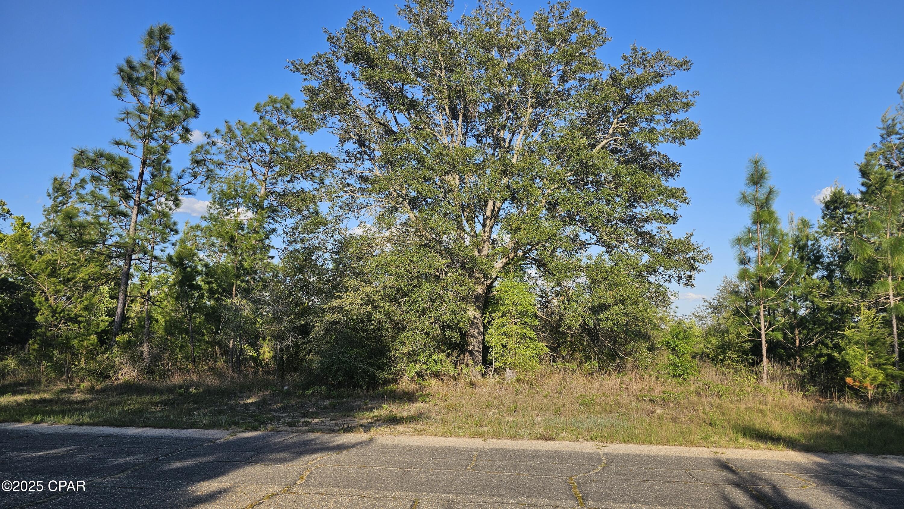 Lot 14 Independence Drive, Unit 2 Chipley, FL 32428 - Photo 2 of 13