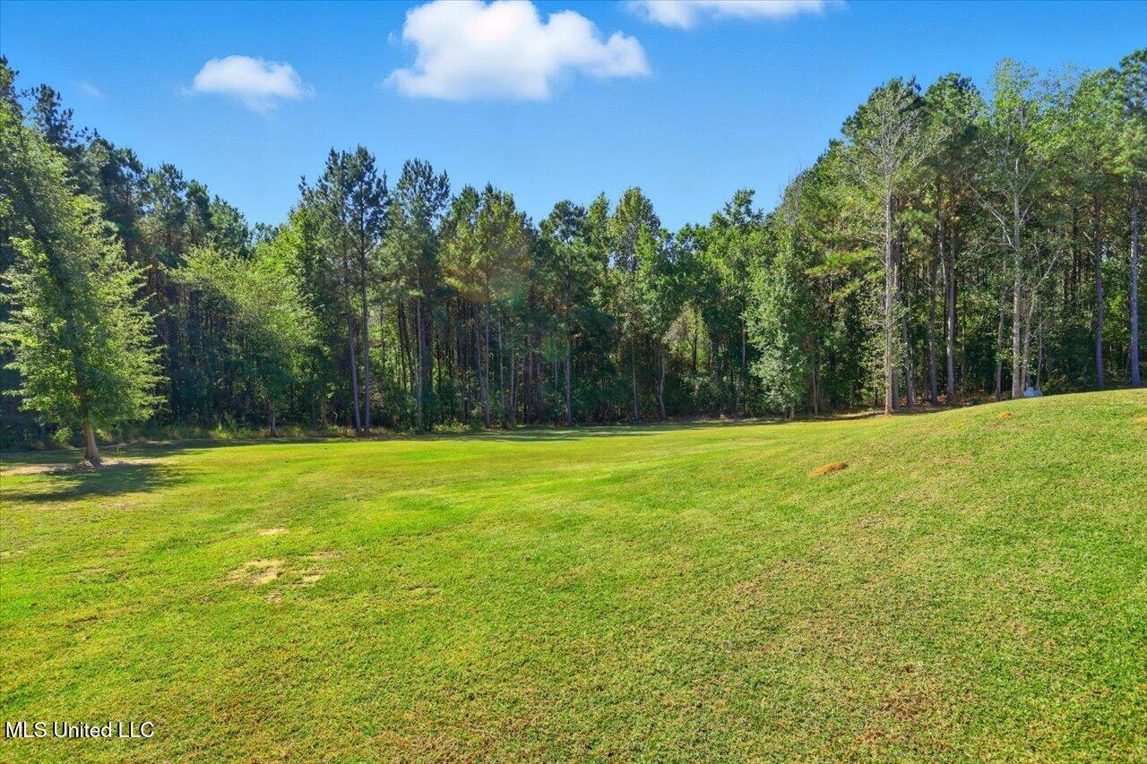 123 L & B Way Mendenhall, MS 39114 - Photo 36 of 73 36-123 L & B Way _ Home Tours MS