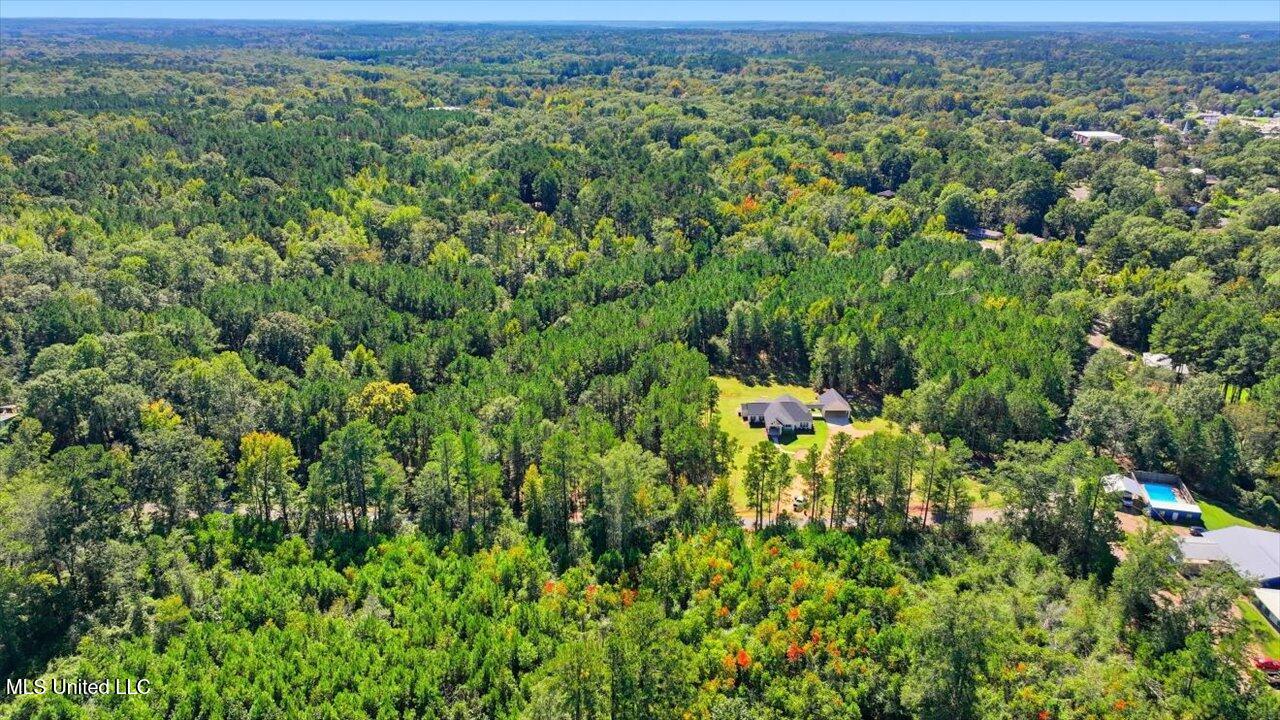 123 L & B Way Mendenhall, MS 39114 - Photo 39 of 73 39-123 L & B Way _ Home Tours MS