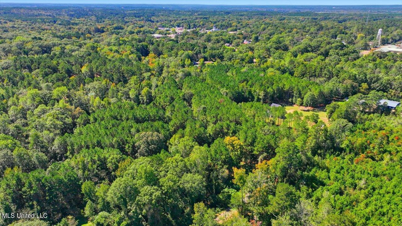 123 L & B Way Mendenhall, MS 39114 - Photo 41 of 73 41-123 L & B Way _ Home Tours MS