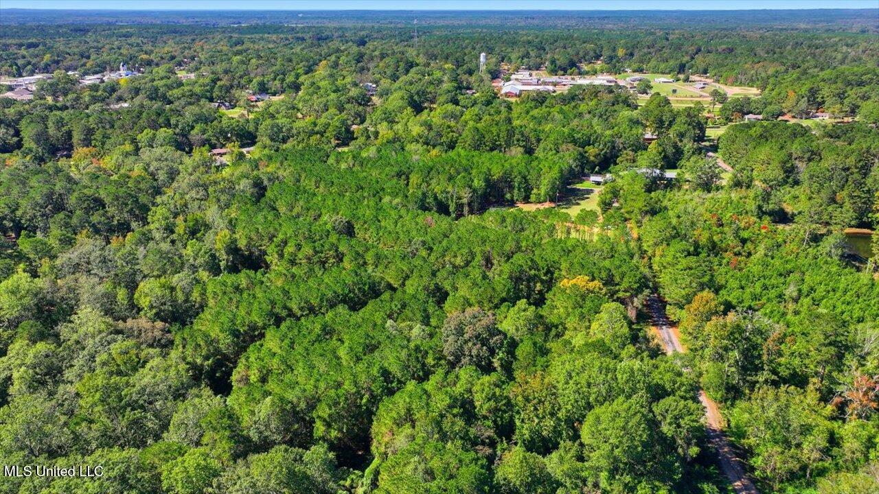 123 L & B Way Mendenhall, MS 39114 - Photo 42 of 73 42-123 L & B Way _ Home Tours MS