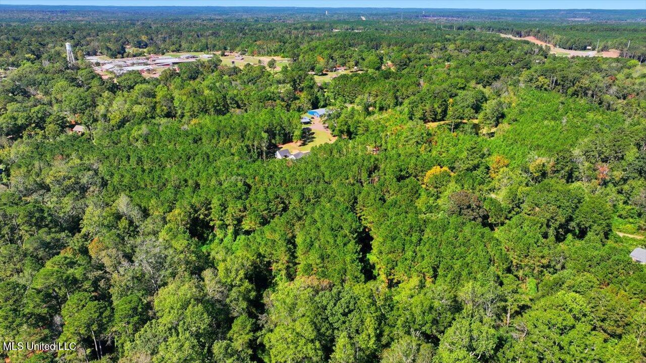 123 L & B Way Mendenhall, MS 39114 - Photo 43 of 73 43-123 L & B Way _ Home Tours MS