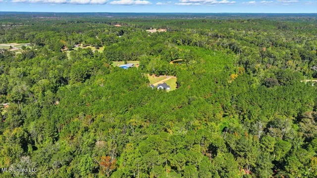 $484,900 | 123 L & B Way, Mendenhall, MS 39114