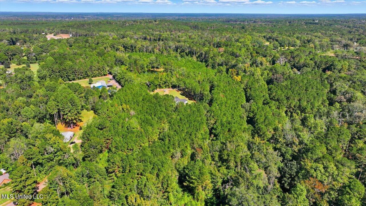 123 L & B Way Mendenhall, MS 39114 - Photo 46 of 73 46-123 L & B Way _ Home Tours MS