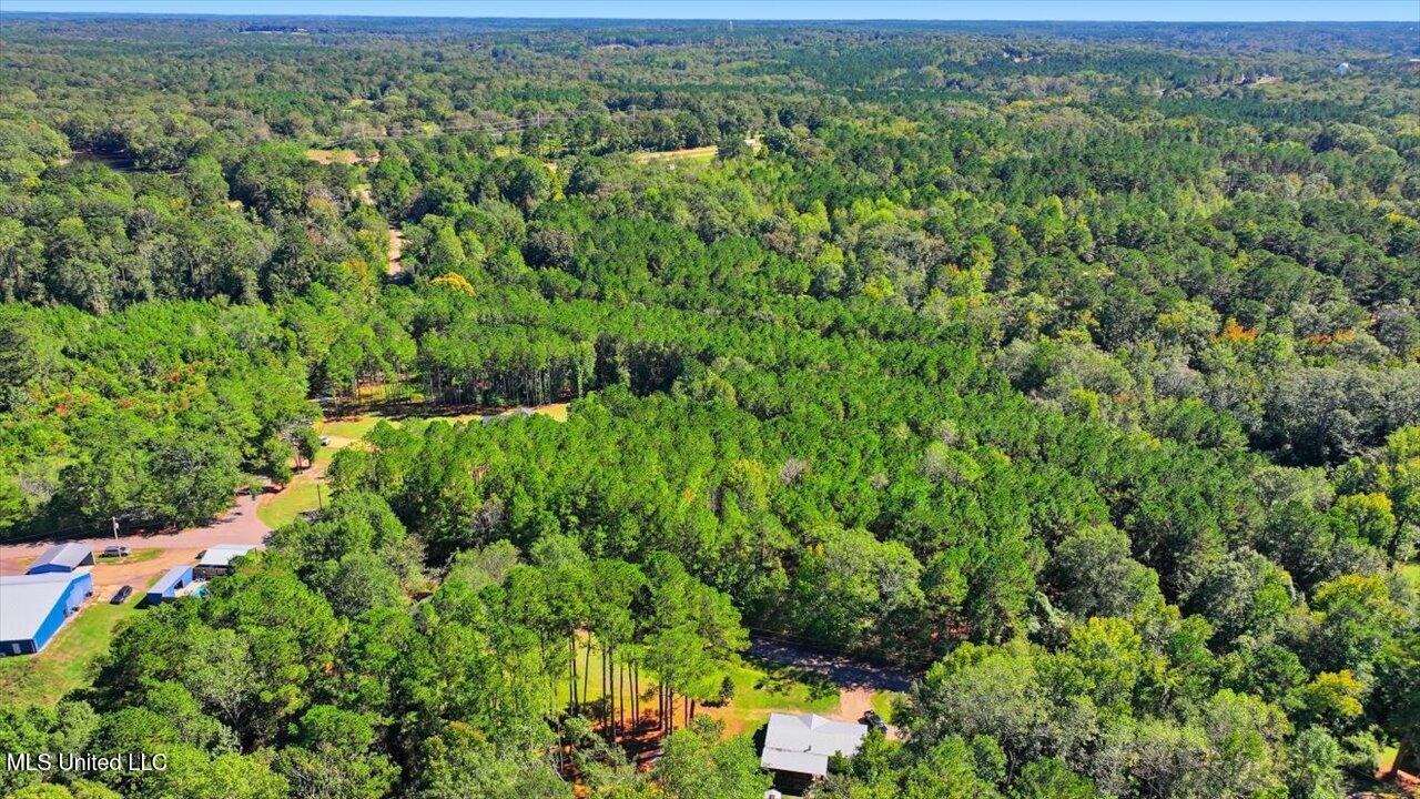 123 L & B Way Mendenhall, MS 39114 - Photo 48 of 73 48-123 L & B Way _ Home Tours MS