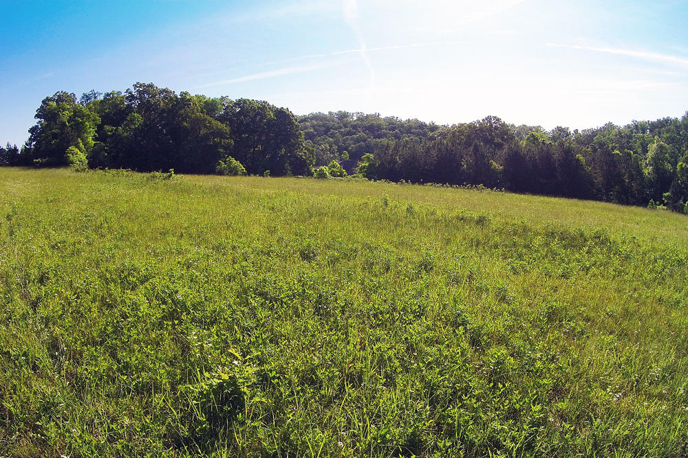 1772 Eads Bluff Road Northwest Georgetown, TN 37336 - Photo 1 of 12 DJI00031