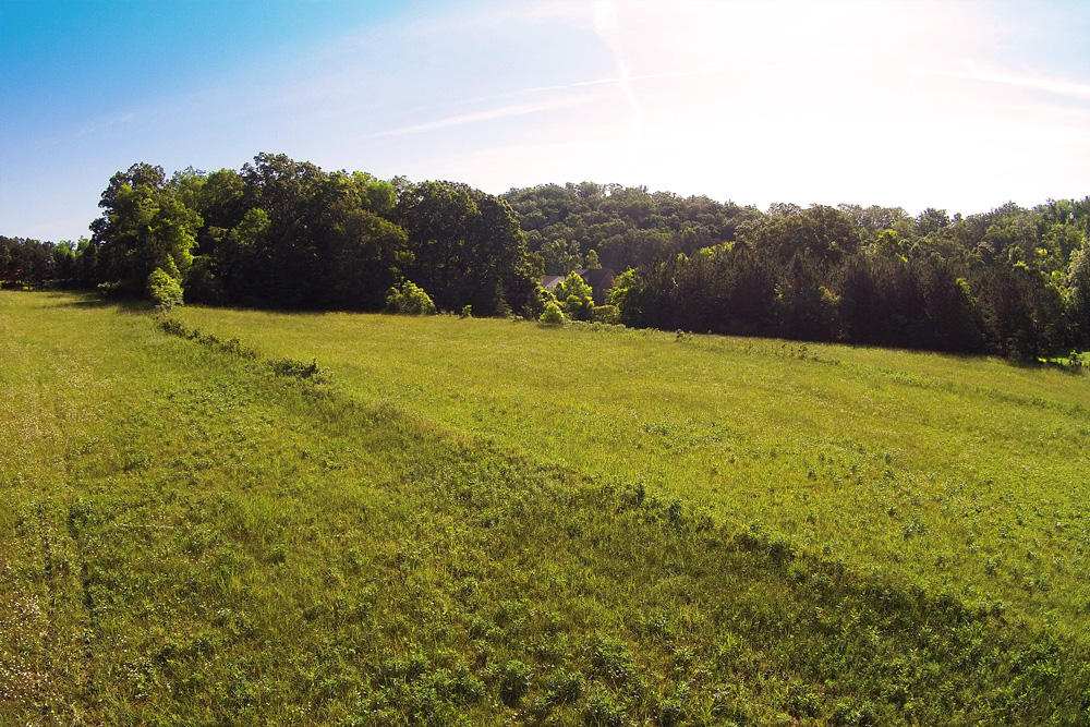 1772 Eads Bluff Road Northwest Georgetown, TN 37336 - Photo 2 of 12 DJI00032