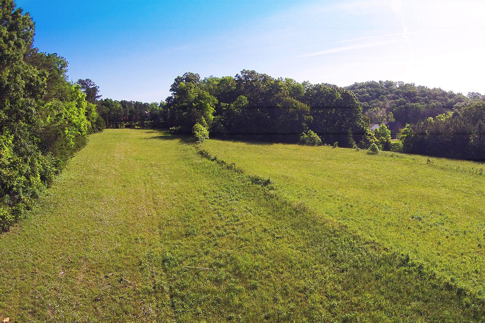 1772 Eads Bluff Road Northwest Georgetown, TN 37336 - Photo 3 of 12 DJI00034