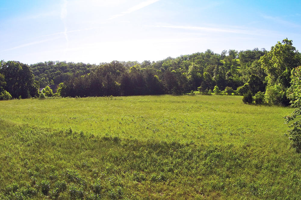 1772 Eads Bluff Road Northwest Georgetown, TN 37336 - Photo 4 of 12 DJI00037