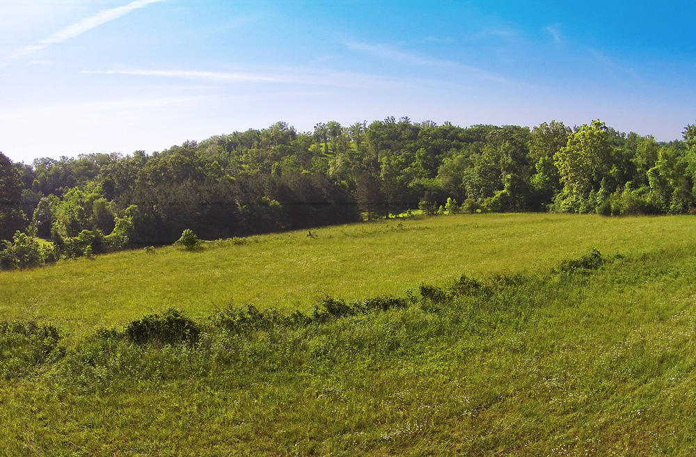 1772 Eads Bluff Road Northwest Georgetown, TN 37336 - Photo 5 of 12 DJI00038