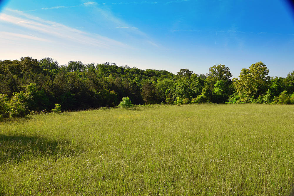1772 Eads Bluff Road Northwest Georgetown, TN 37336 - Photo 8 of 12 DSC_1347